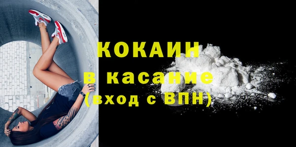 сатива Бежецк
