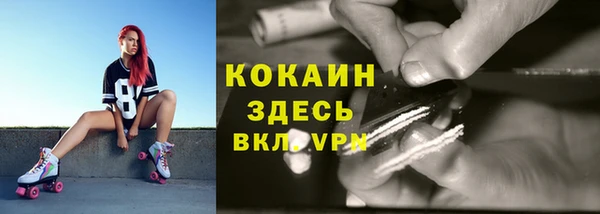 не бодяженный Корсаков