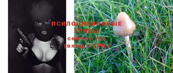 не бодяженный Корсаков
