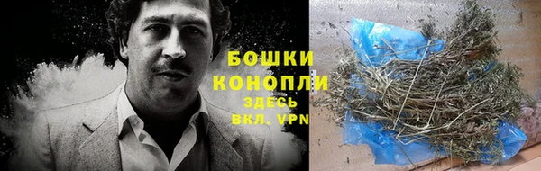 прущие крисы Козельск