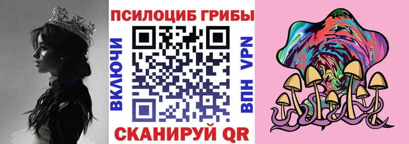 Галлюциногенные грибы Psilocybine cubensis  где купить   Комсомольск 